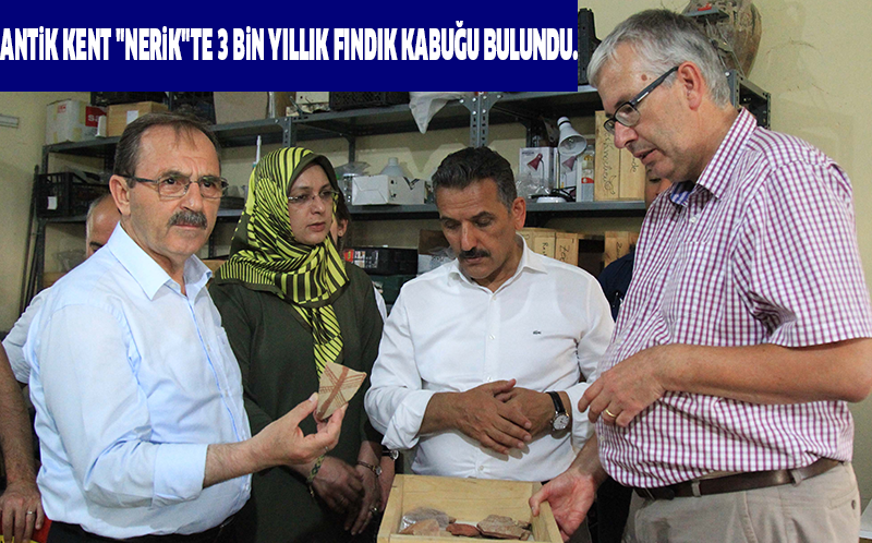 Antik kent "Nerik"te 3 bin yıllık fındık kabuğu bulundu.
