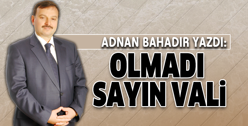 OLMADI SAYIN VALİ