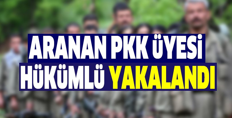 Aranan PKK üyesi hükümlü yakalandı