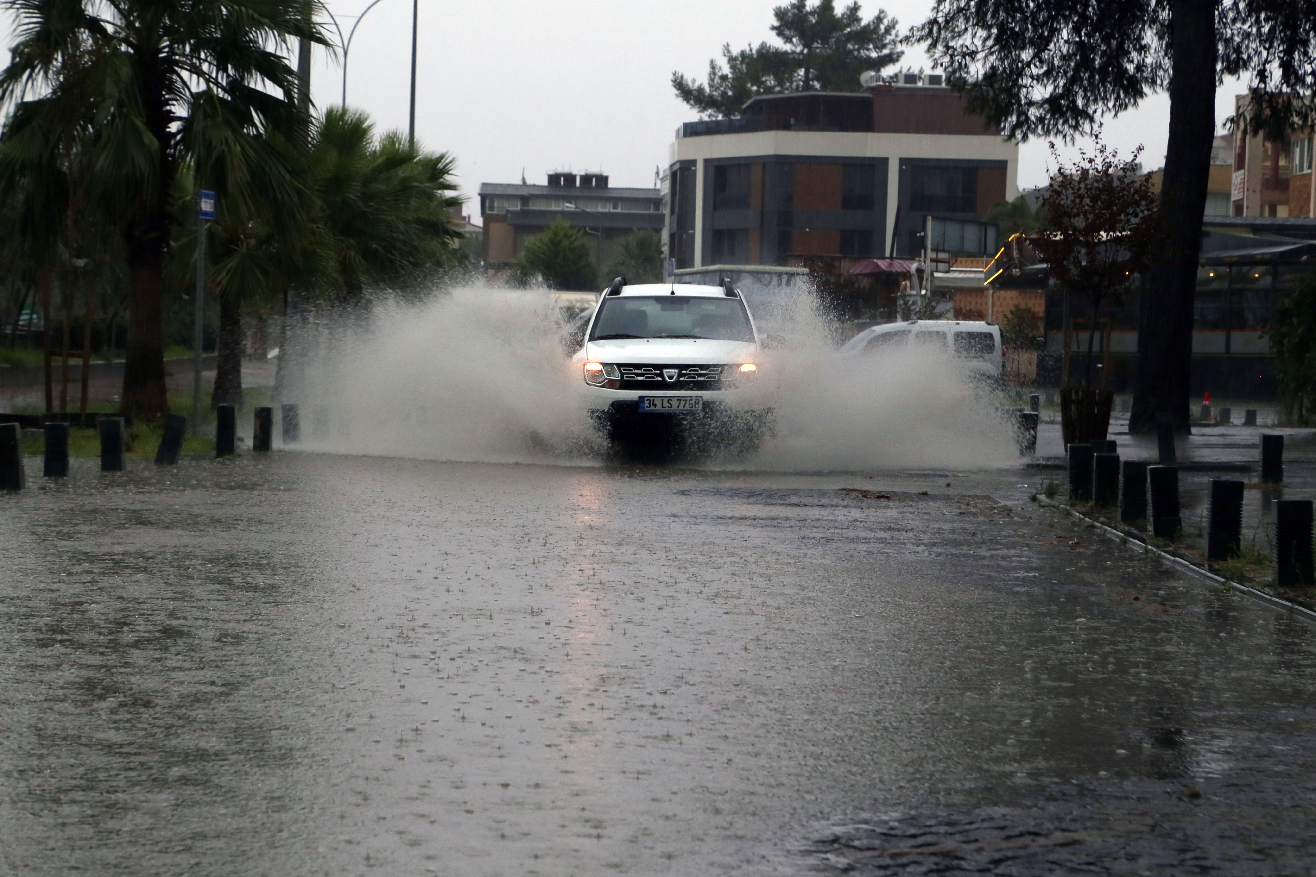 Samsun'da sağanak ve şiddetli rüzgar ağaç devirdi