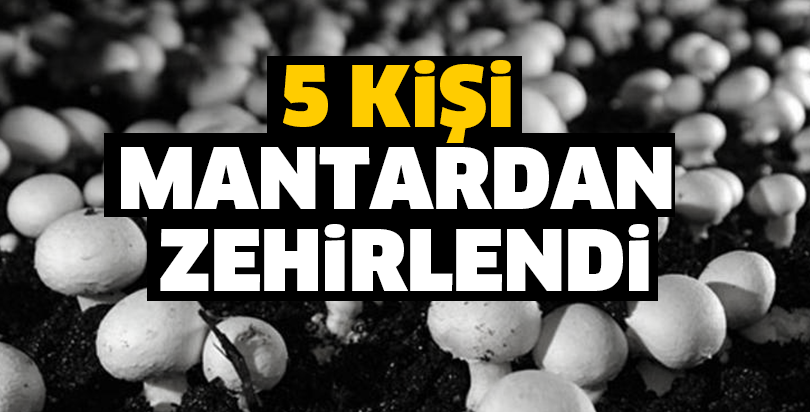 5 KiŞi  MANTARDAN  ZEHiRLENDi