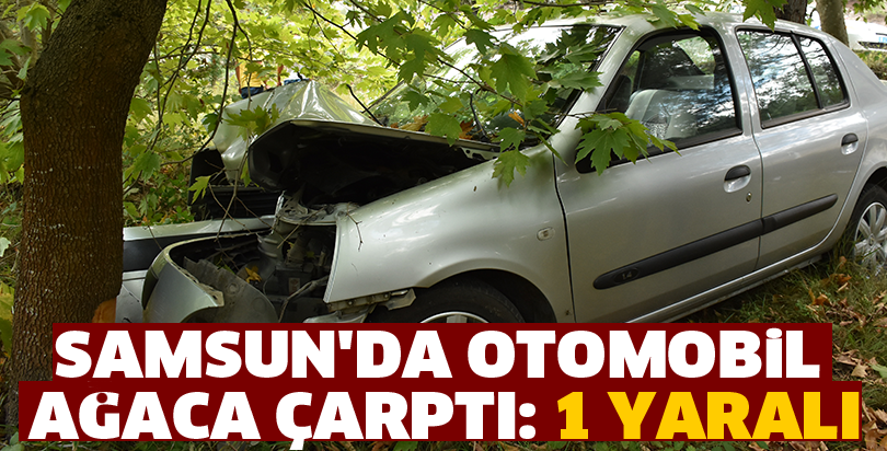 Samsun'da otomobil ağaca çarptı: 1 yaralı