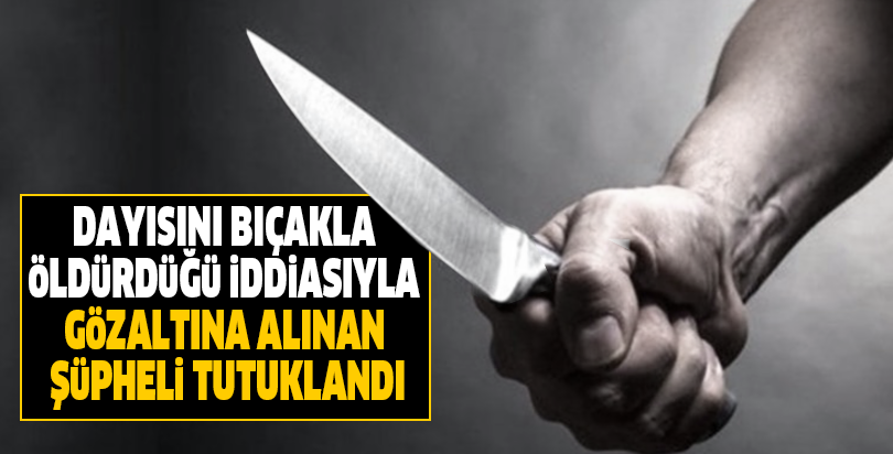 Dayısını bıçakla öldürdüğü iddiasıyla gözaltına alınan şüpheli tutuklandı