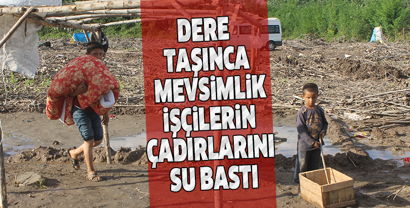 Dere taşınca mevsimlik işçilerin çadırlarını su bastı