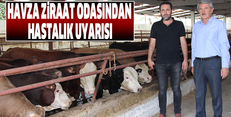 Havza Ziraat Odasından hastalık uyarısı