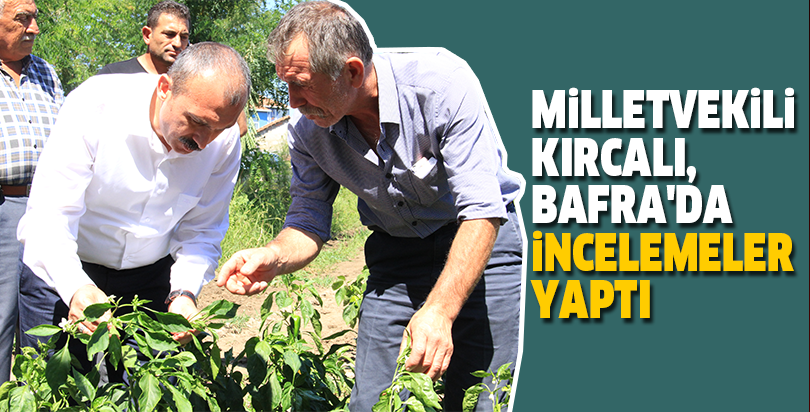 Milletvekili Kırcalı, Bafra'da incelemeler yaptı