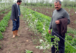 Kişi sayısı artıyor