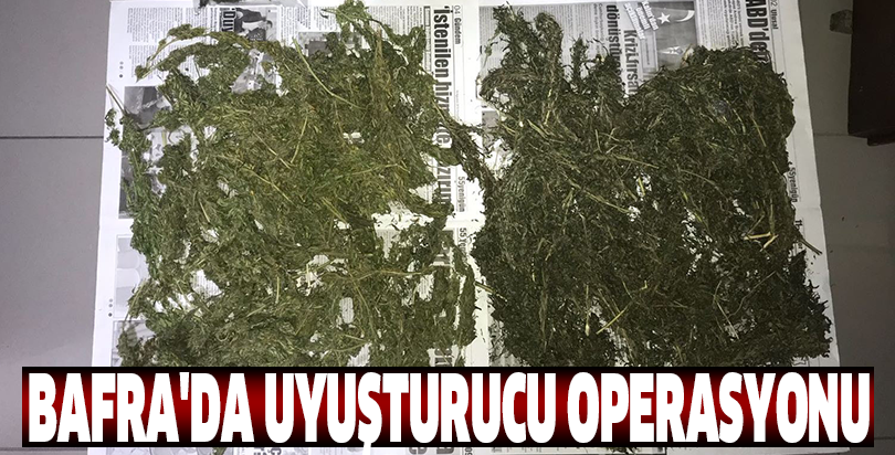 Bafra'da uyuşturucu operasyonu
