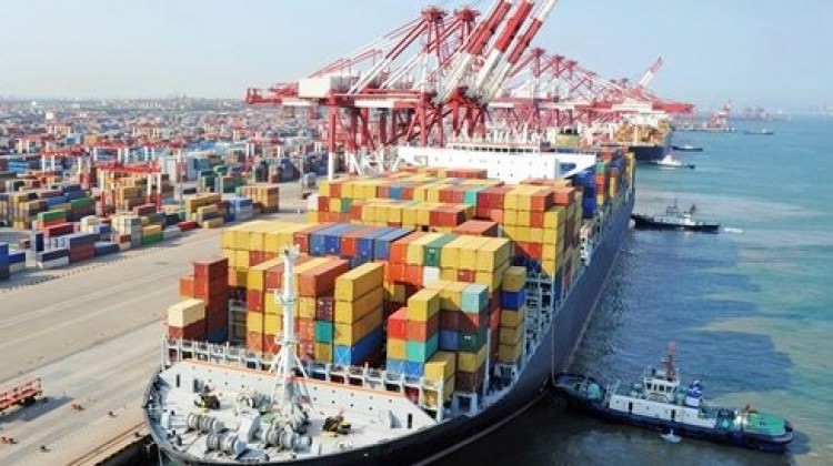 Samsun'dan su ürünleri ihracı yapılan ülkeler