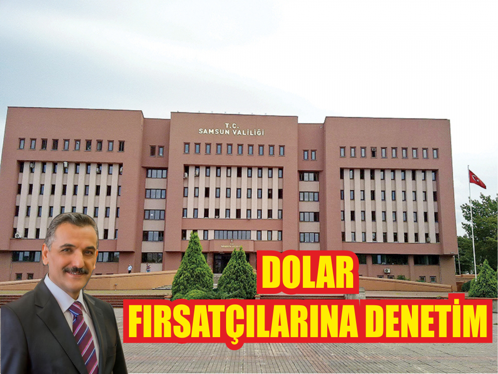 DOLAR FIRSATÇILARINA DENETİM