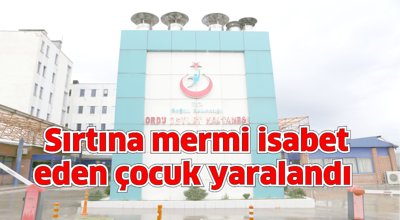 Ordu'da sırtına mermi isabet eden çocuk yaralandı