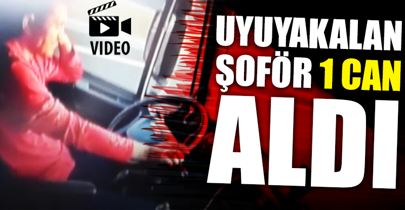 Uyuyakalan şoför bir can aldı!