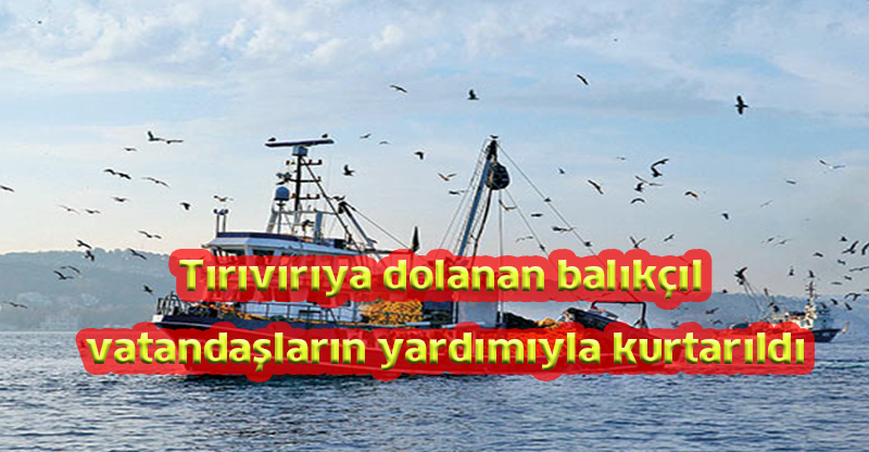 Tırıvırıya dolanan balıkçıl vatandaşların yardımıyla kurtarıldı