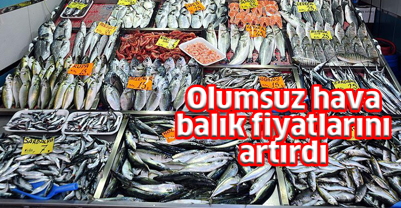 Olumsuz hava balık fiyatlarını artırdı