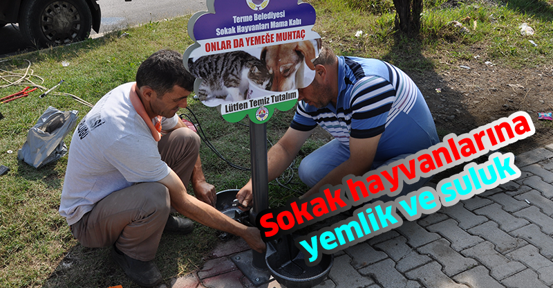 Sokak hayvanlarına yemlik ve suluk