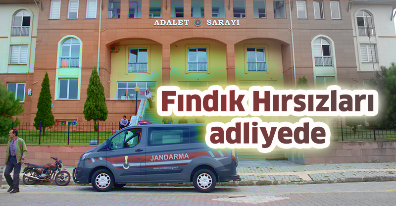 Fındık Hırsızları adliyede