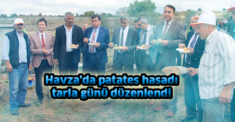 Havza'da patates hasadı tarla günü düzenlendi