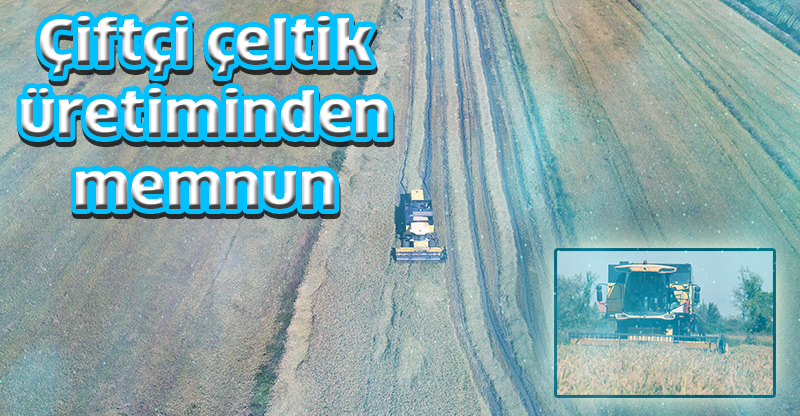 Çiftçi çeltik üretiminden memnun