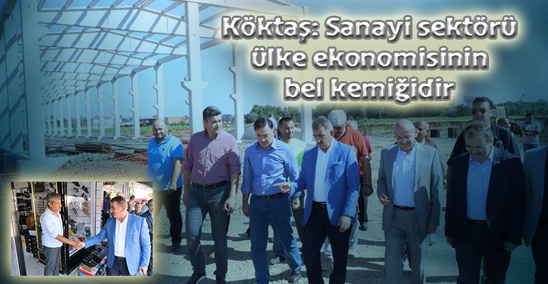 Köktaş: Sanayi sektörü ülke ekonomisinin bel kemiğidir