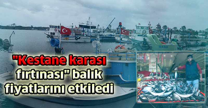 "Kestane karası fırtınası" balık fiyatlarını etkiledi