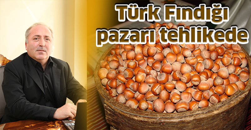 Türk Fındığı pazarı tehlikede