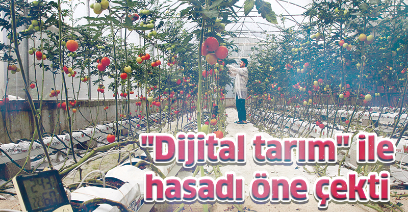 "Dijital tarım" ile hasadı öne çekti