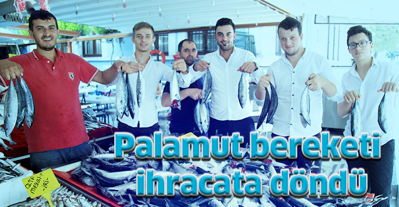 Palamut bereketi ihracata döndü