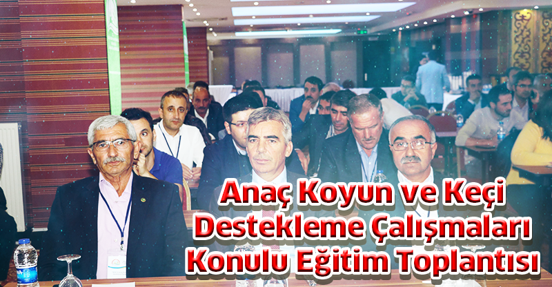 Anaç Koyun ve Keçi Destekleme Çalışmaları Konulu Eğitim Toplantısı