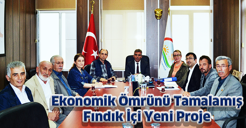 Ekonomik Ömrünü Tamalamış Fındık İçi Yeni Proje