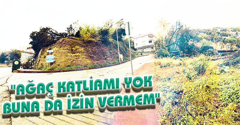 "AĞAÇ KATLİAMI YOK BUNA DA İZİN VERMEM"