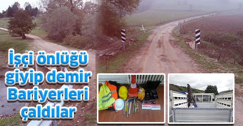 İşçi önlüğü giyip demir korkulukları çaldılar