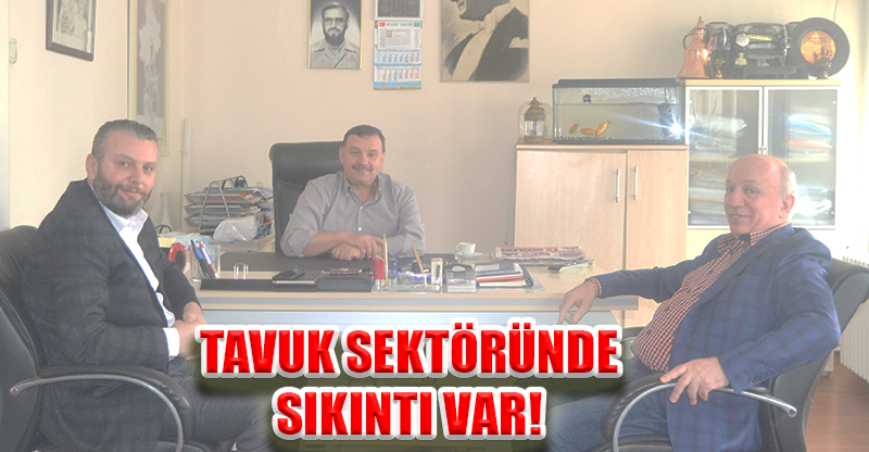 TAVUK SEKTÖRÜNDE  SIKINTI VAR!