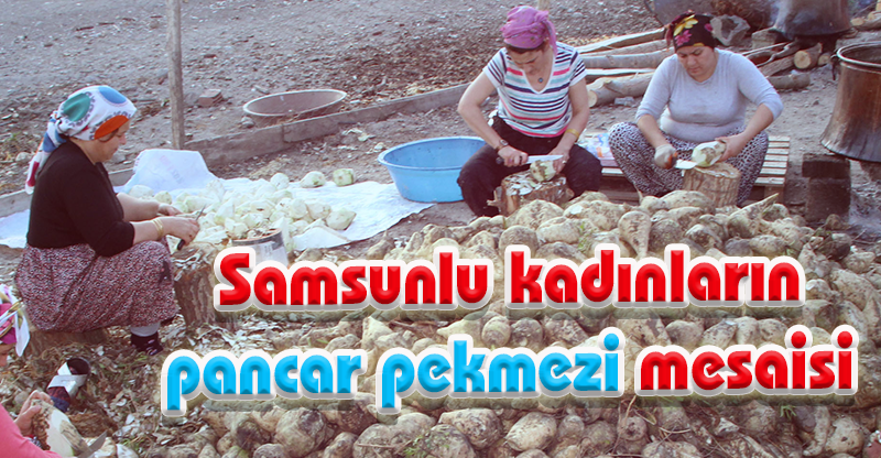 Samsunlu kadınlar pancar pekmezi mesaisine başladı