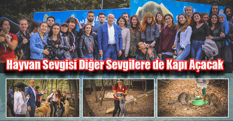 Hayvan Sevgisi Diğer Sevgilere de Kapı Açacak