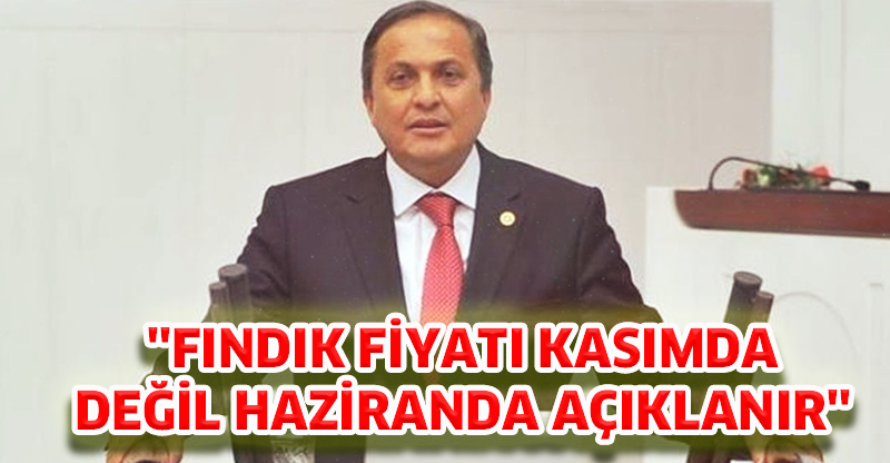 "FINDIK FİYATI KASIMDA DEĞİL HAZİRANDA AÇIKLANIR"