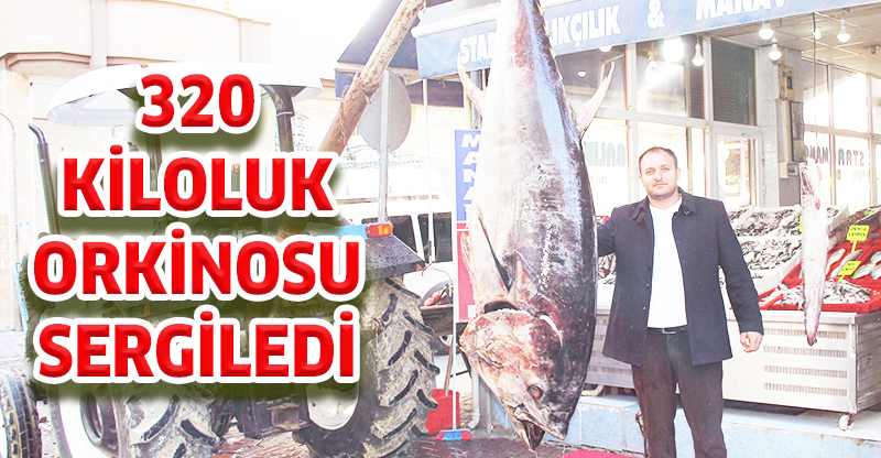 Satın aldığı 320 kiloluk orkinosu sergiledi