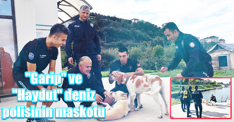 "Garip" ve "Haydut" deniz polisinin maskotu oldu
