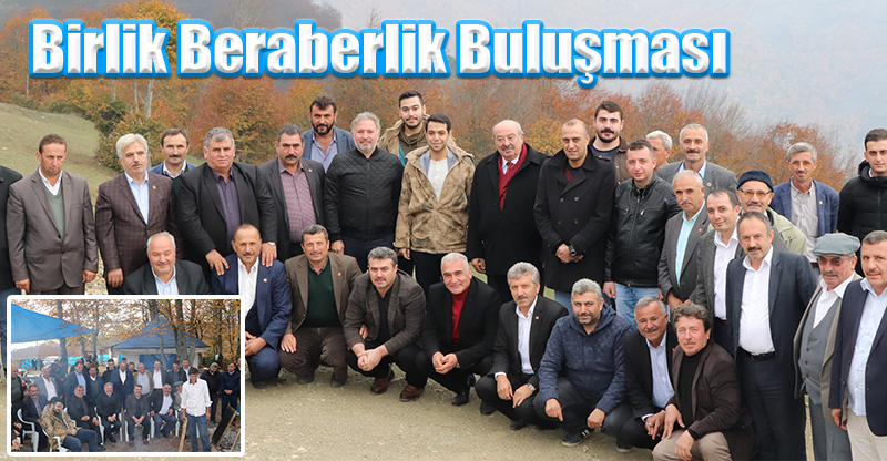 Birlik Beraberlik Buluşması