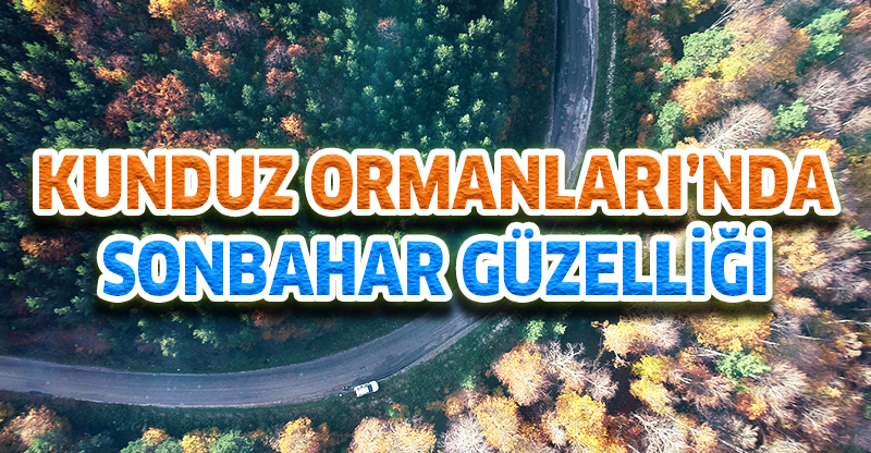 Kunduz Ormanları'nda Sonbahar Güzelliği
