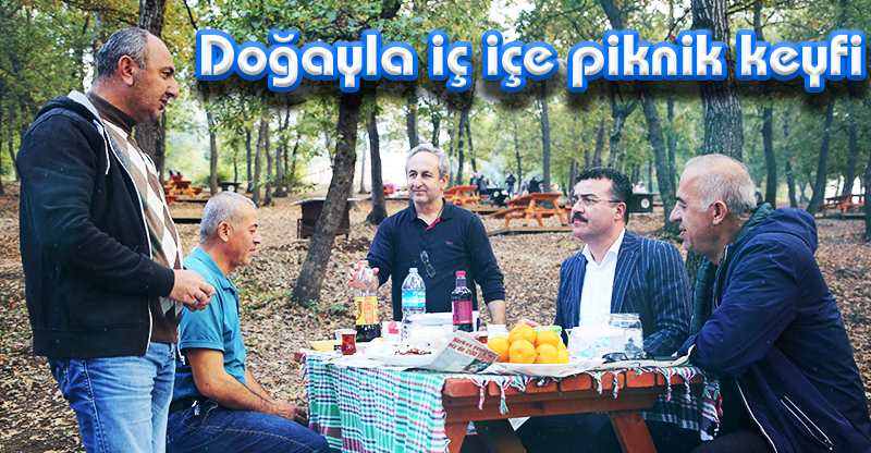 Doğayla iç içe piknik keyfi