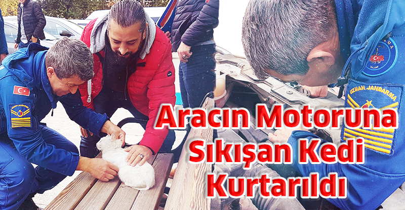 Aracın Motor Kısmına Sıkışan Kedi Kurtarıldı