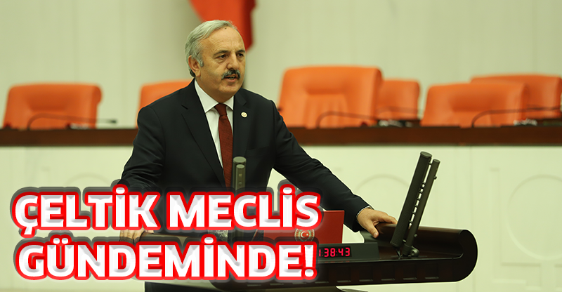 ÇELTİK MECLİS GÜNDEMİNDE!