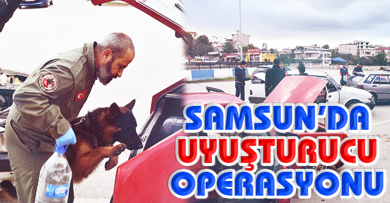 Samsun'da Uyuşturucu Operasyonu