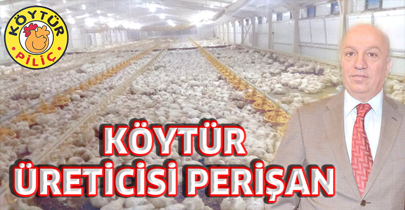 KÖYTÜR ÜRETİCİSİ PERİŞAN