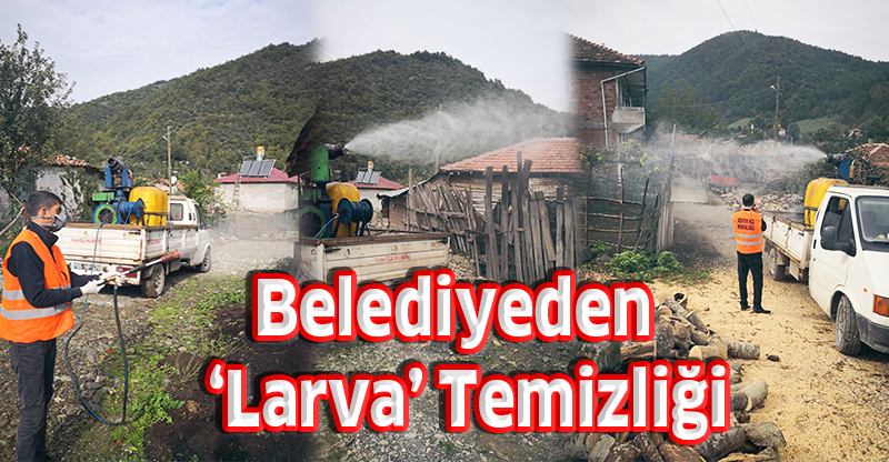 Belediyeden Larva Temizliği