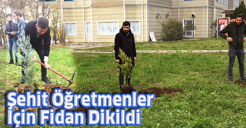 Şehit Öğretmenler İçin Fidan Dikildi