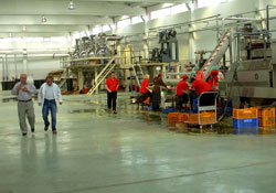 Proje tutarında lider