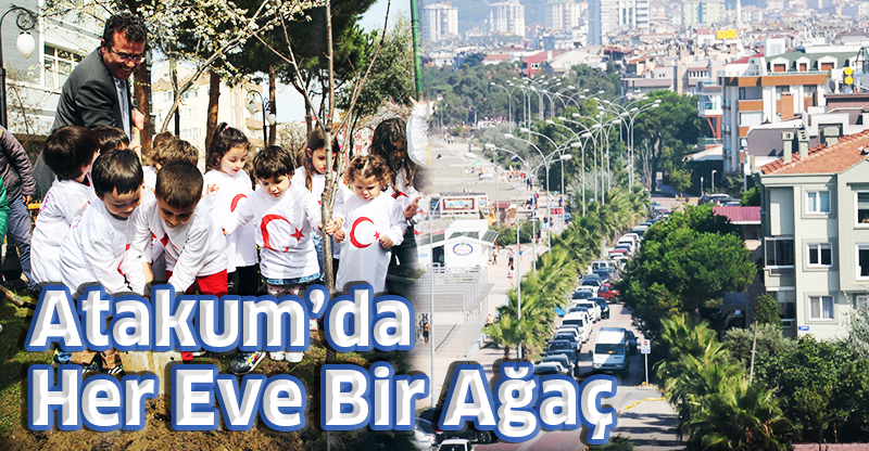 Atakum’da Her Eve Bir Ağaç