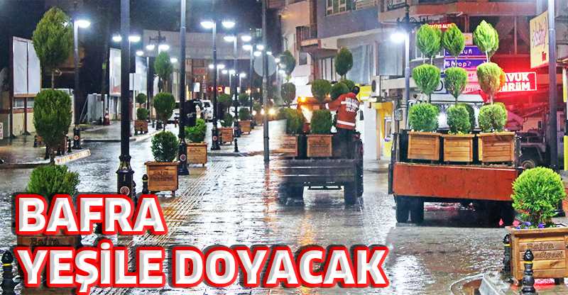 BAFRA YEŞİLE DOYACAK