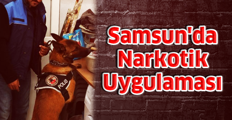 Samsun'da Narkotik Uygulaması